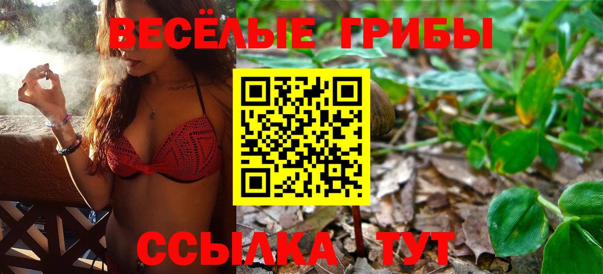 Калач-на-Дону  Псилоцибиновые грибы GOLDEN TEACHER  Вход с VPN 